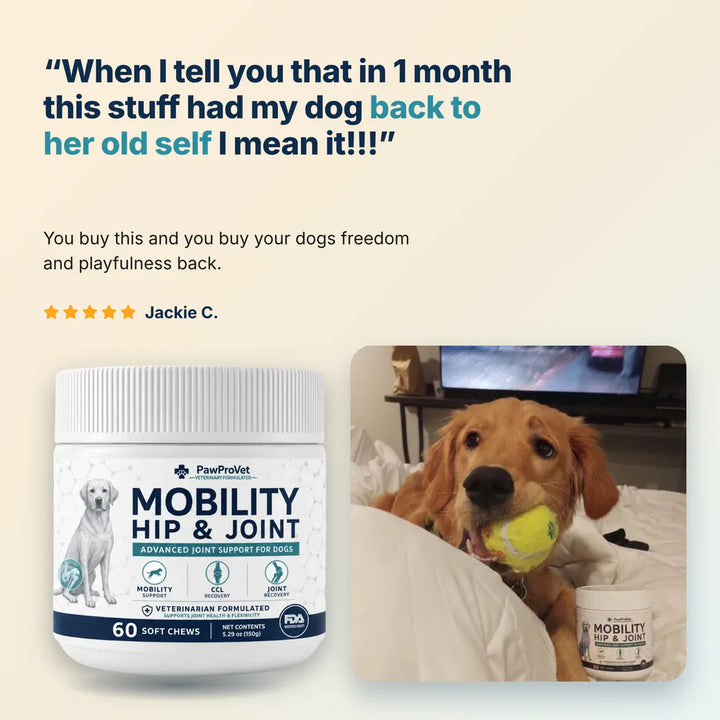 Daily Hip & Joint Chews — image 2