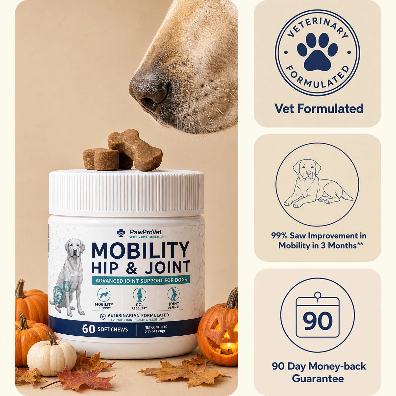 Daily Hip & Joint Chews — image 1